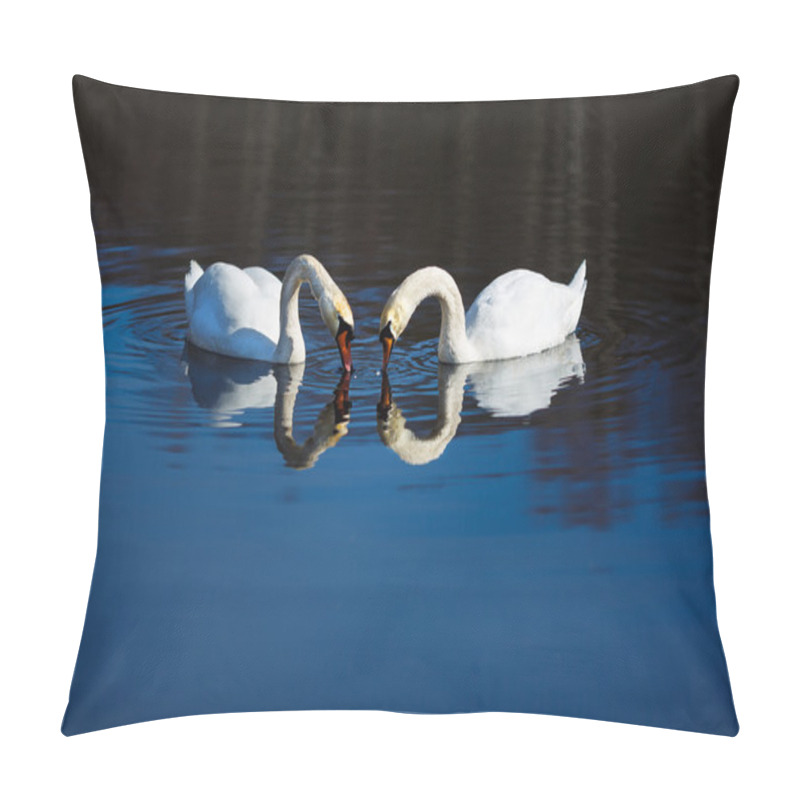 Personality  Two Swans Pillow Covers