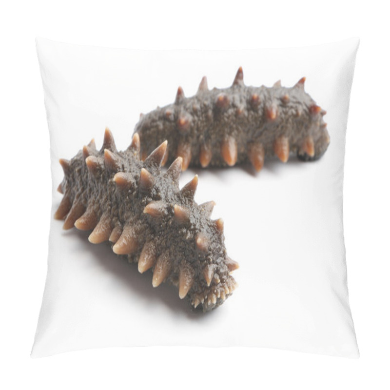 Personality  Sea Cucumber Pillow Covers