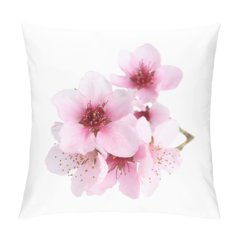 Personality  Beautiful Tree Blossom Isolated On White. Spring Season Pillow Covers