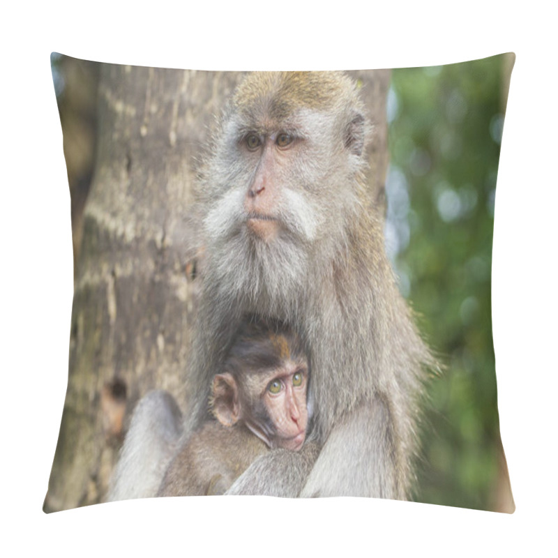 Personality  Wild Monkey Family At Sacred Monkey Forest In Ubud, Island Bali, Indonesia Pillow Covers