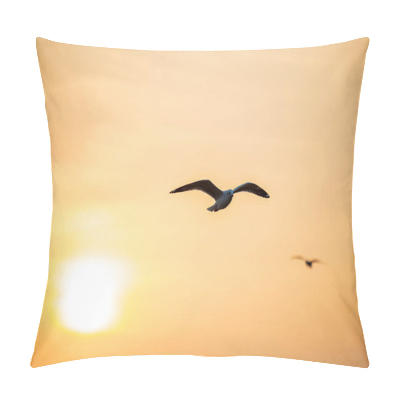 Personality  Seagull, The Birds Migrate From Siberia To Bangpu Samutprakhan Thailand, Are Feeded By Traveler During Sunset. Fly Over The Sea And Eating On The Water Surface. Pillow Covers