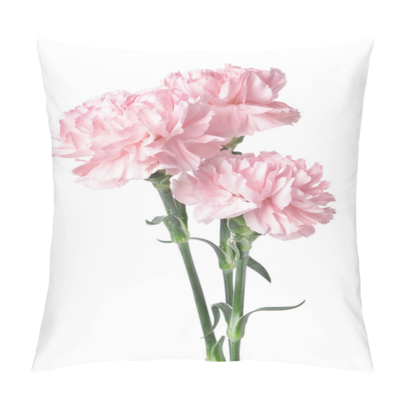 Personality  Beautiful Carnation Flowers On White Background Pillow Covers