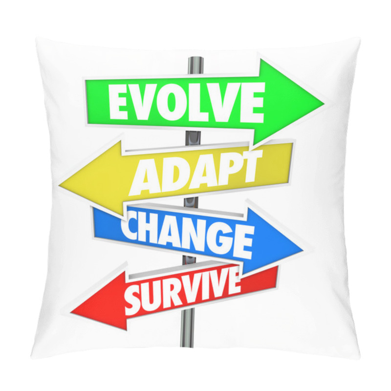 Personality  Evolve, Adapt, Change And Survive On Four Arrow Signs Pillow Covers