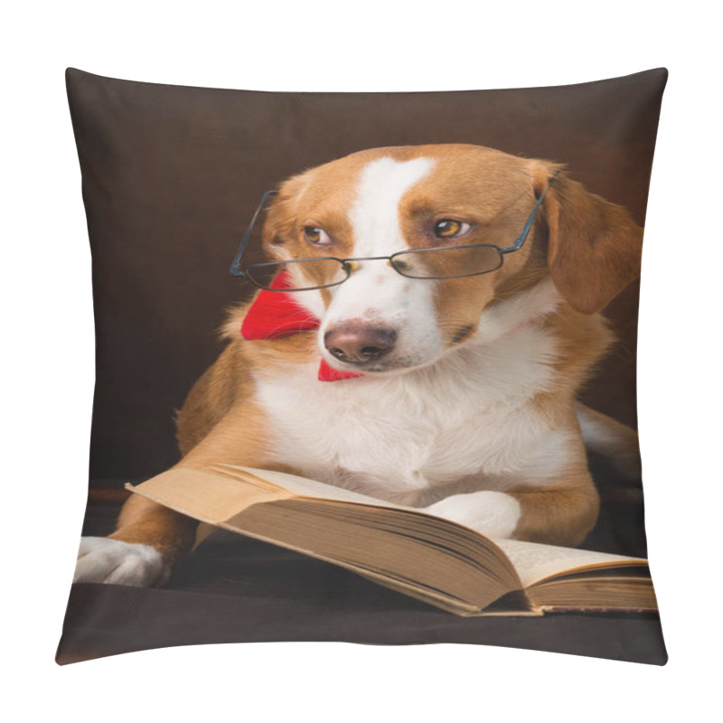 Personality  Cute Mixed Breed Dog Posing As An Intellectual Pillow Covers