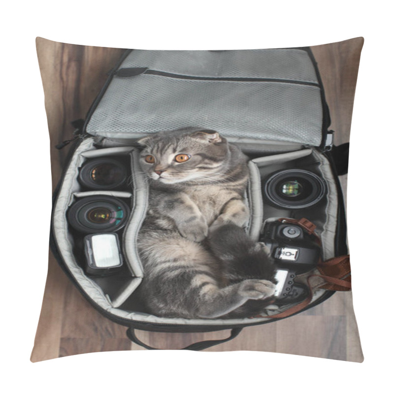 Personality  A Cat In A Photo Bag Bag. Pillow Covers