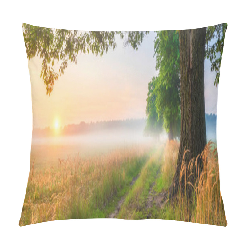 Personality  Beautiful Foggy Morning At The Old Oaks Avenue  Pillow Covers