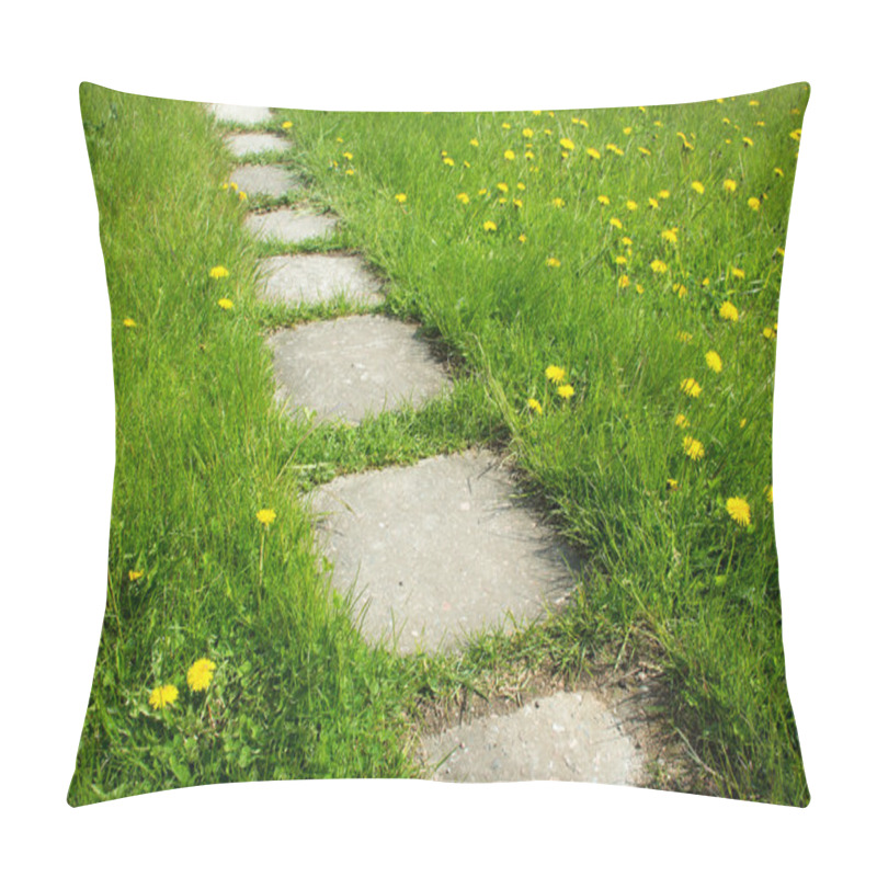 Personality  Path On Dandelion Field Pillow Covers