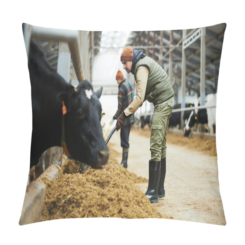 Personality  Cowfarm Worker With Pitchfork Spreading Fodder For Cows In Feeder With Forage While Bending Forwards In Front Of Cowshed With Cattle Pillow Covers