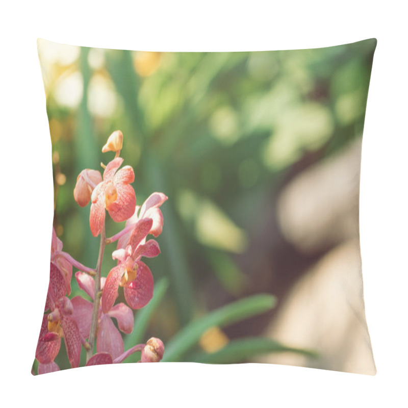 Personality  Beautiful Blooming Orchids In Forest Pillow Covers