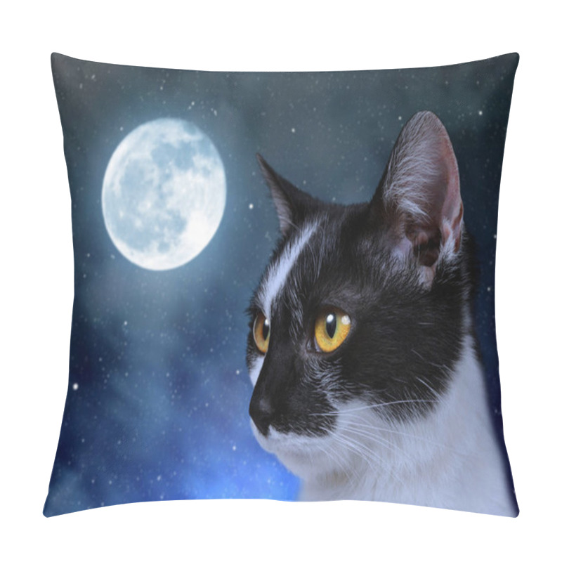 Personality  Cat In The Dark Night. Pillow Covers