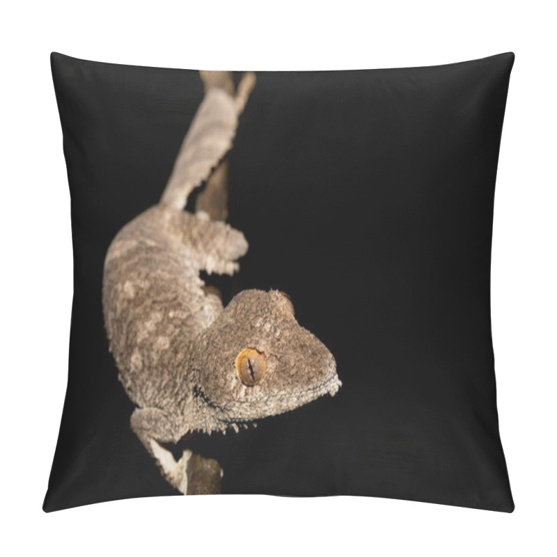 Personality  Giant Leaf-tailed Gecko, Uroplatus Fimbriatus Pillow Covers