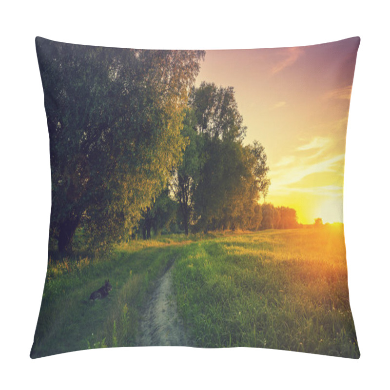 Personality  Rural Landscape In Evening. Village And Dirt Road At Sunset. Pillow Covers