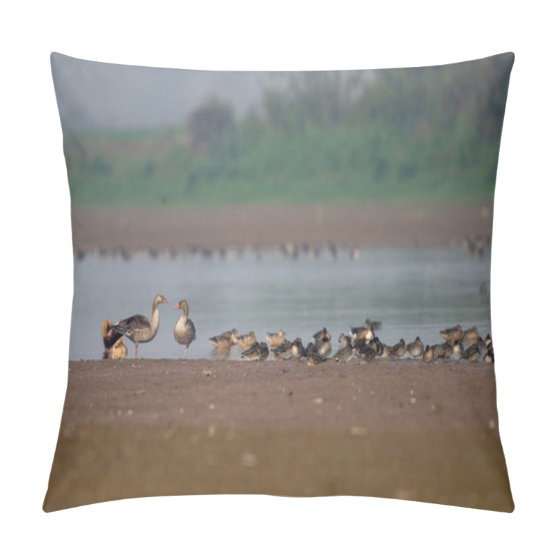 Personality  A Tranquil Scene Of Grey Geese And Various Duck Species On A Shoreline. Pillow Covers