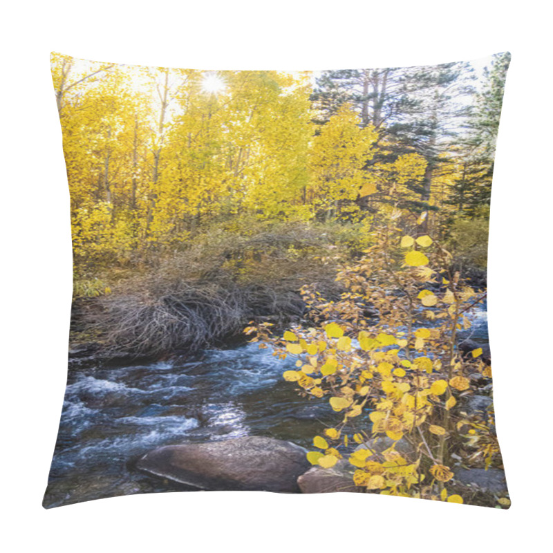 Personality  Golden, Green, And Orange, Leafed Aspen Along Flowing Creek Pillow Covers