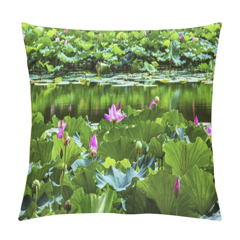 Personality  Lotus Garden Reflection Summer Palace Beijing, China Pillow Covers