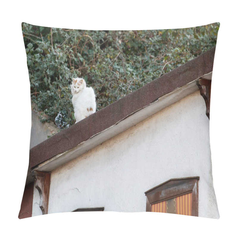 Personality  A Stray Cat Sitting On The Roof Of The House. Istanbul, Turkey. Pillow Covers