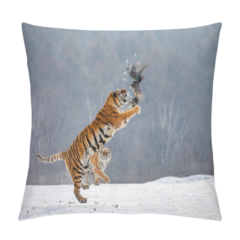 Personality  Siberian Tiger Jumping While Catching Prey Bird In Wintry Forest, Siberian Tiger Park, Hengdaohezi Park, Mudanjiang Province, Harbin, China.  Pillow Covers