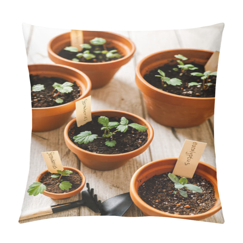 Personality  Seeding And Potted Plant Pillow Covers