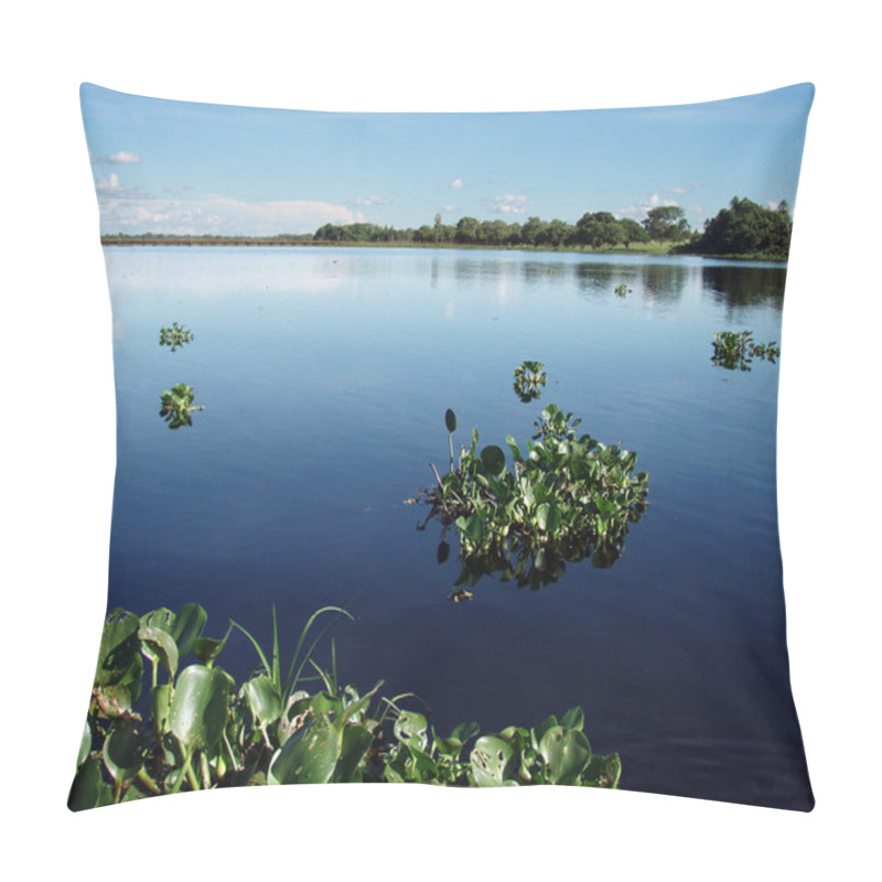 Personality  Pantanal Lake Pillow Covers