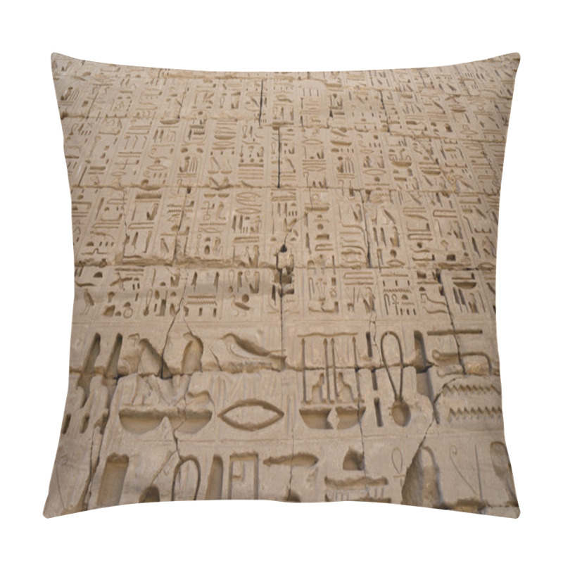 Personality  Egypt Hieroglyphics In Valley Of Kings Pillow Covers