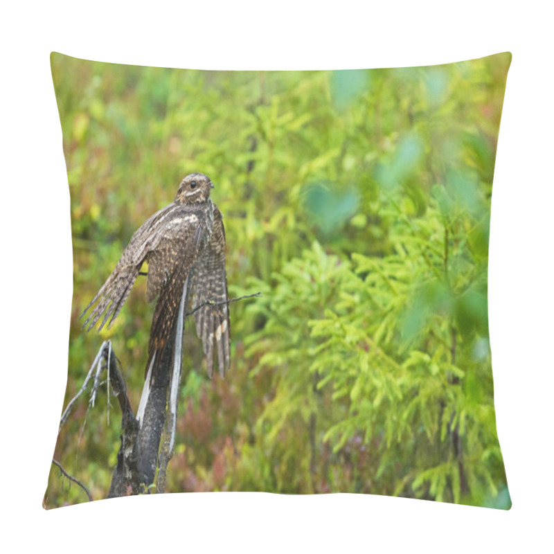 Personality  Female Nightjar  Leads People Away From The Nest Pillow Covers