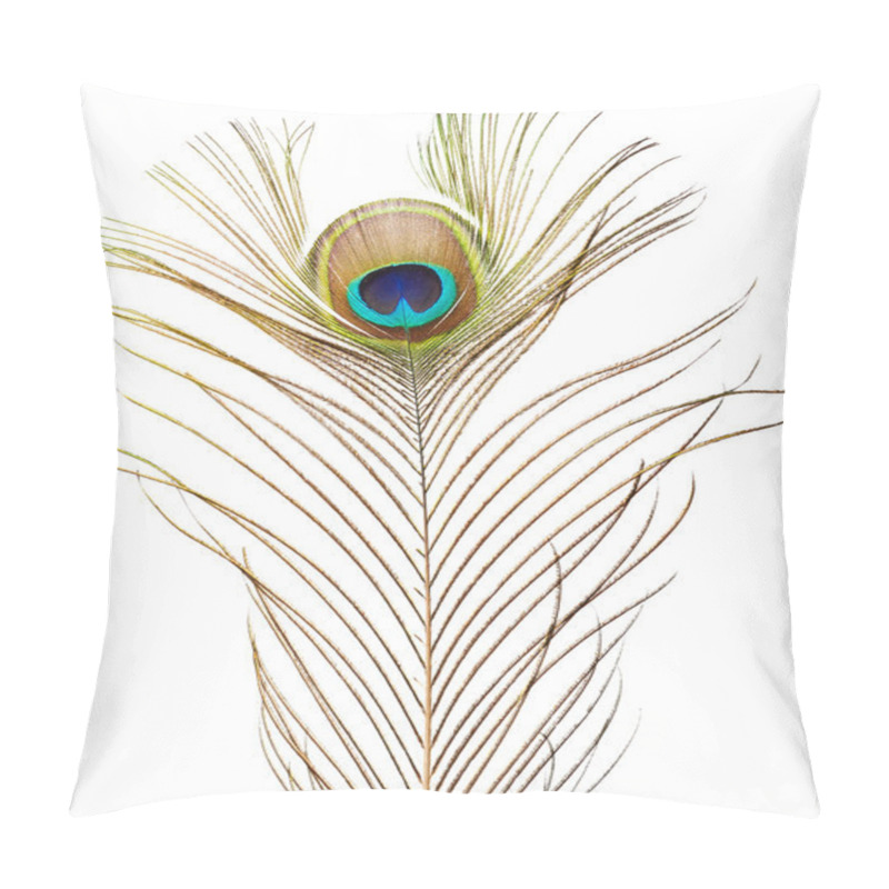 Personality  Peacock Feather Isolated On White Pillow Covers