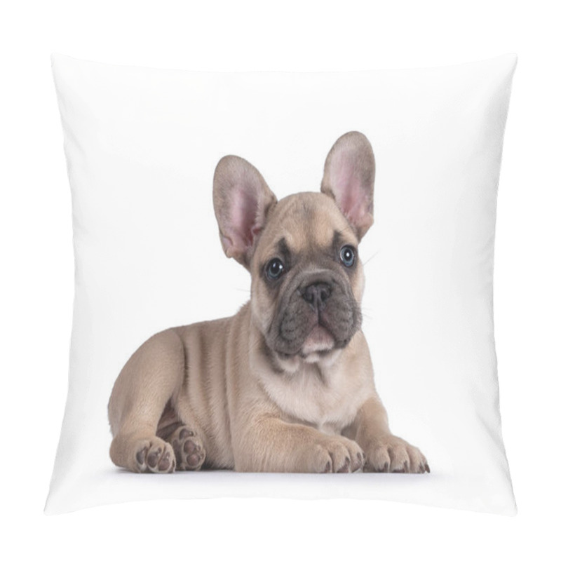 Personality  Adorable Fawn French Bulldog Puppy, Laying Down Side Ways. Looking Away From Camera With Blue Eyes. Isolated On A White Background. Pillow Covers