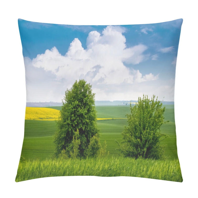 Personality  Spring Or Summer Landscape With Trees In A Field With Green Grass And A Picturesque Blue Sky With White Clouds Pillow Covers