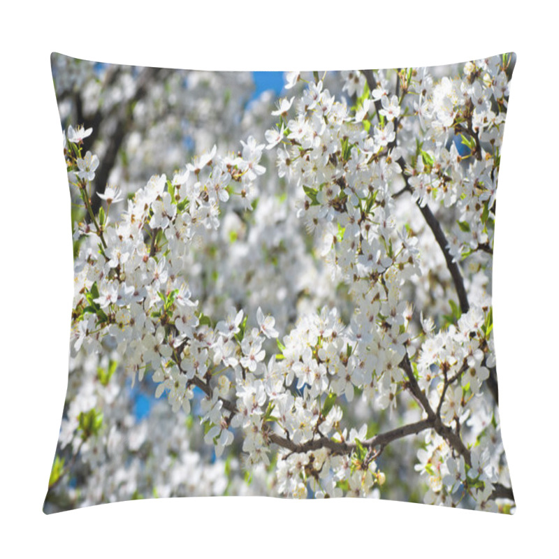 Personality  Spring Blossom: Branch Of A Blossoming Apple Tree On Garden Background Pillow Covers