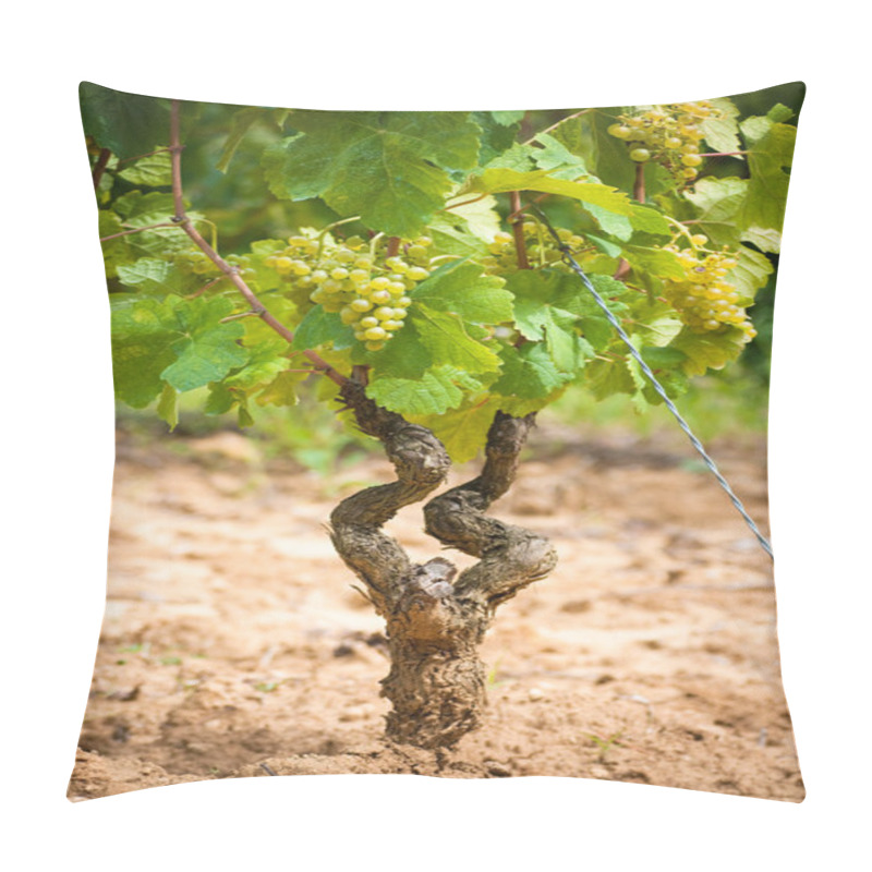 Personality  Grapevine Pillow Covers