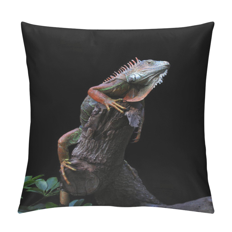 Personality  Lizard, Iguana Predator Animal  Pillow Covers