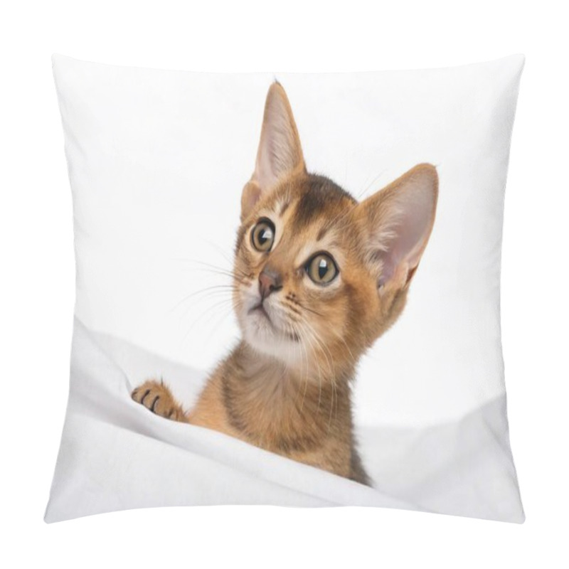 Personality  A Cute Brown Kitten Sitting Atop A Crisp White Sheet, Highlighting Its Adorable Features And Curious Expression. Pillow Covers