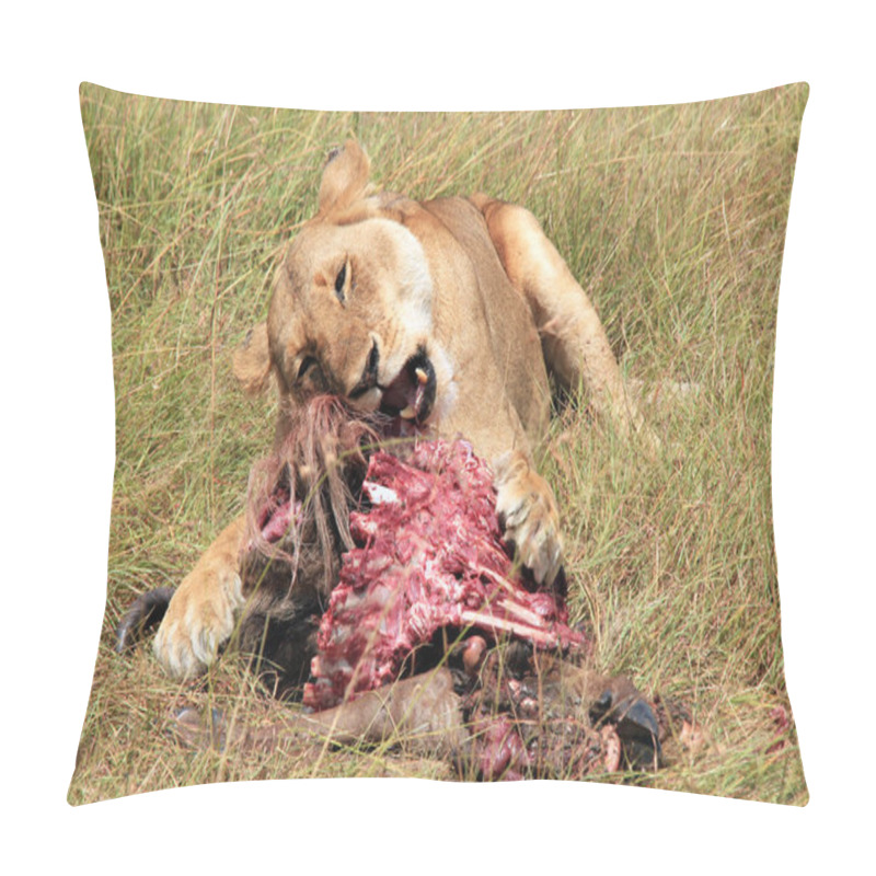 Personality  Lioness (Panthera Leo) Feeding On A Wildebeest. Maasai Mara, Kenya Pillow Covers