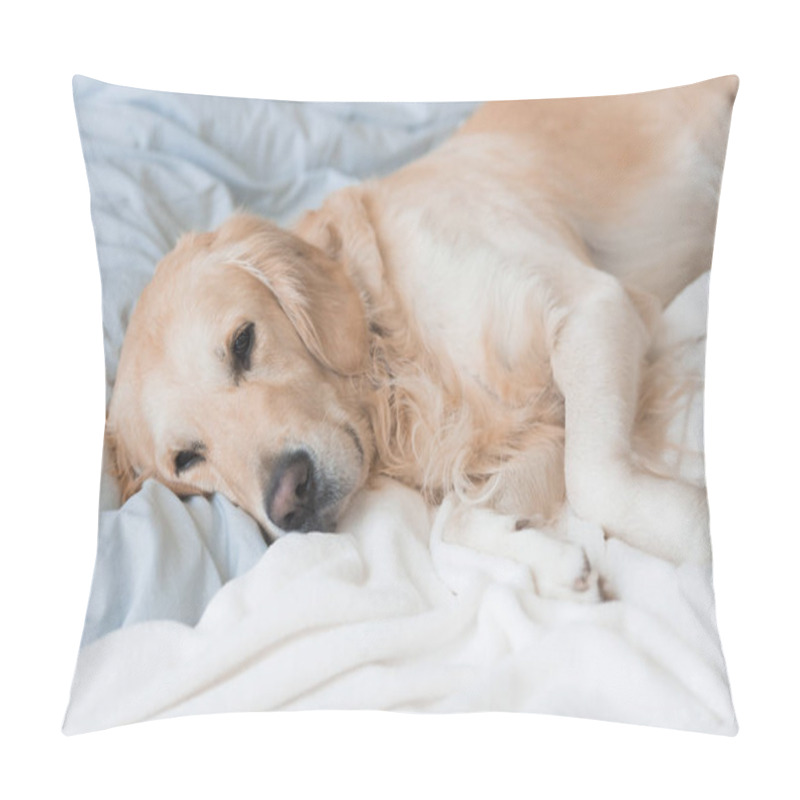 Personality  Dog Lying On Blankets On Bed Pillow Covers