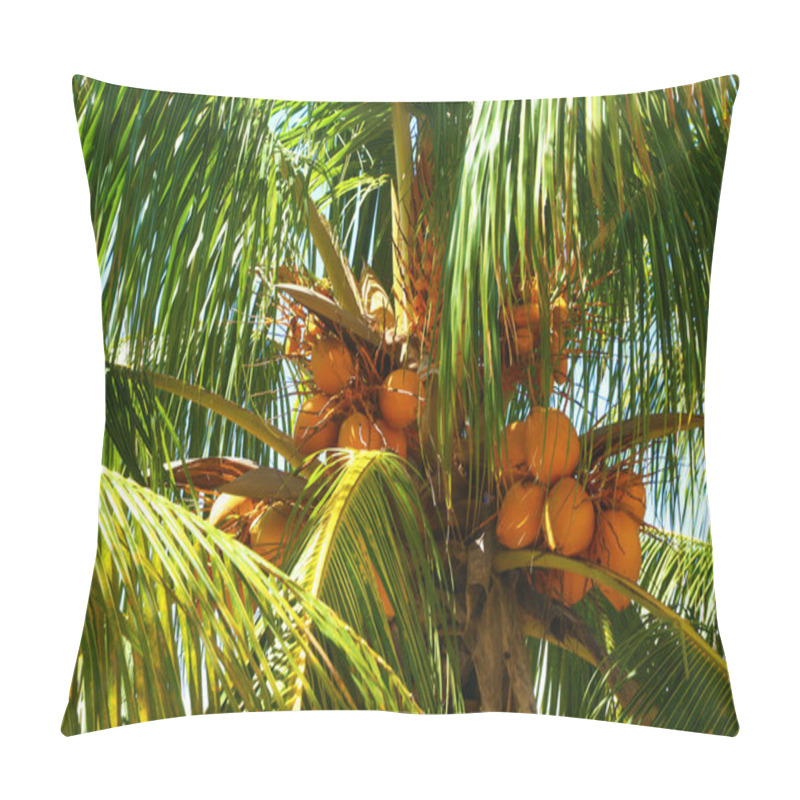 Personality  Coconuts On Green Palm Tree Pillow Covers