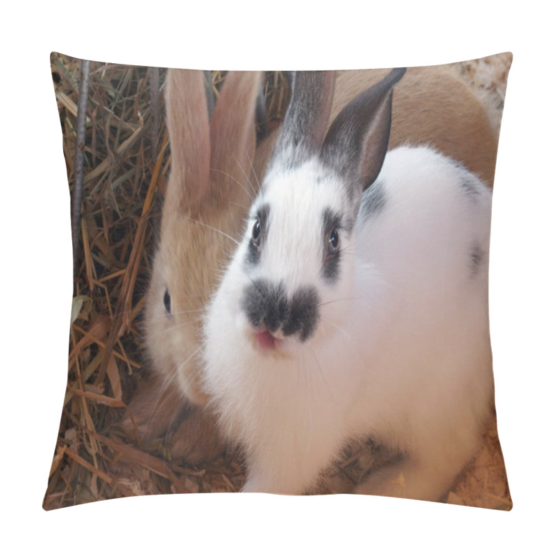 Personality  Two Cute Rabbits Are Sitting Pressed Against Each Other. White And Beige Rabbit Are Sitting On The Hay Pillow Covers