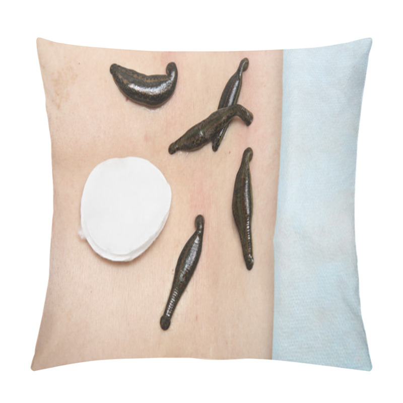 Personality  Treatment Of People Of Medical Leeches. Pillow Covers