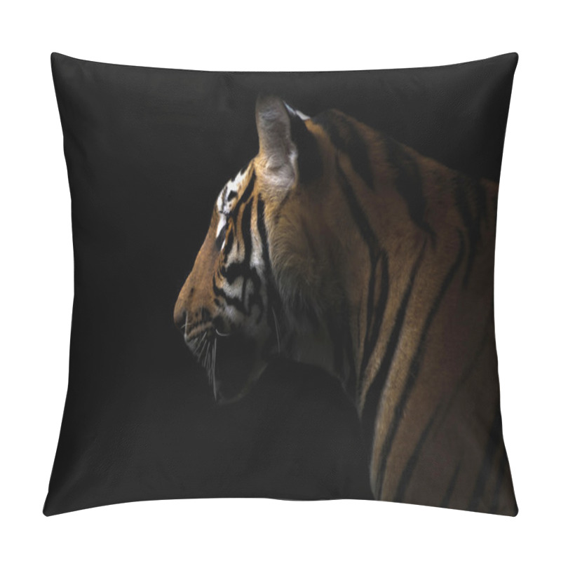 Personality  Bengal Tiger In The Dark Pillow Covers