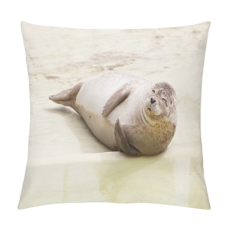 Personality  Seal Lying On The Beach Pillow Covers