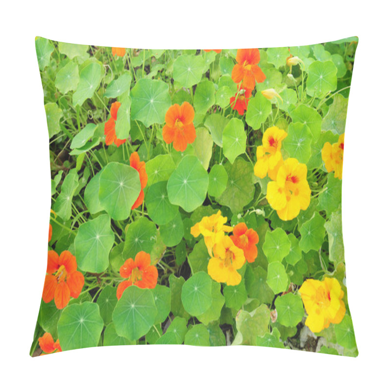 Personality  Nasturtium Flowers Pillow Covers