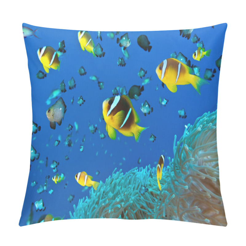 Personality  Clown Fish On The Soft Coral Pillow Covers