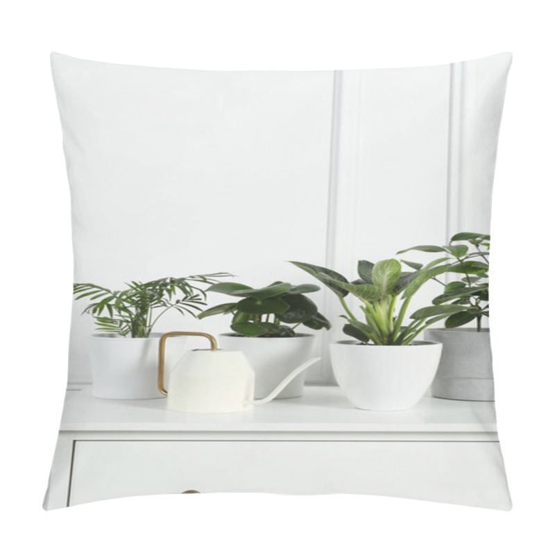 Personality  Many Different Houseplants In Pots On Chest Of Drawers Near White Wall, Space For Text Pillow Covers