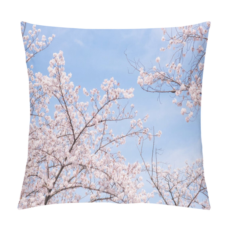 Personality  Beautiful Bright   Cherry Blossom In Japan Pillow Covers