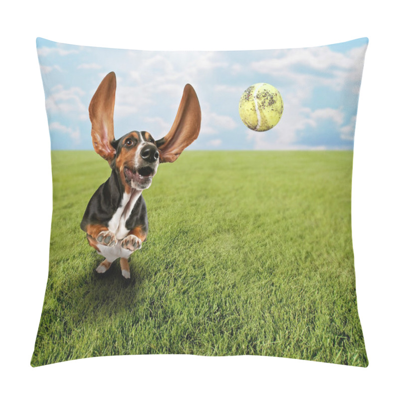 Personality  Basset Hound Chasing Tennis Ball Pillow Covers