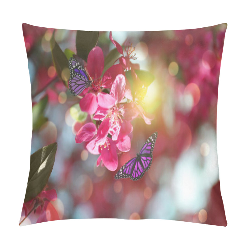 Personality  Beautiful Butterflies On Blossoming Tree Outdoors On Sunny Day Pillow Covers