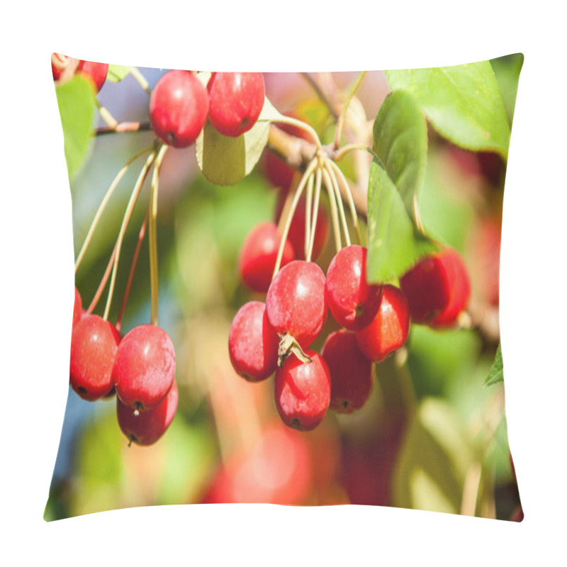 Personality  Crabapple And Wild Apple.  Pillow Covers