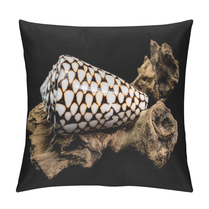 Personality  A Detailed Close-up Of A Conus Marmoreus Shell, Known For Its Marbled Black-and-white Pattern, Elegantly Perched On Driftwood Against A Black Background. Perfect For Marine And Nature Themes Pillow Covers