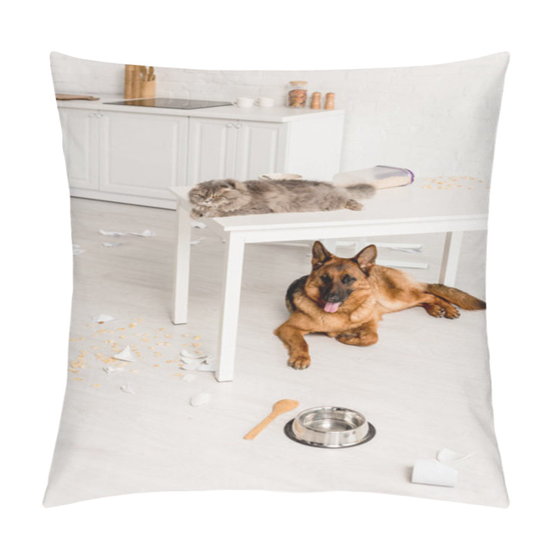 Personality  Cute And Grey Cat Lying On White Table And German Shepherd Lying On Floor In Messy Kitchen Pillow Covers