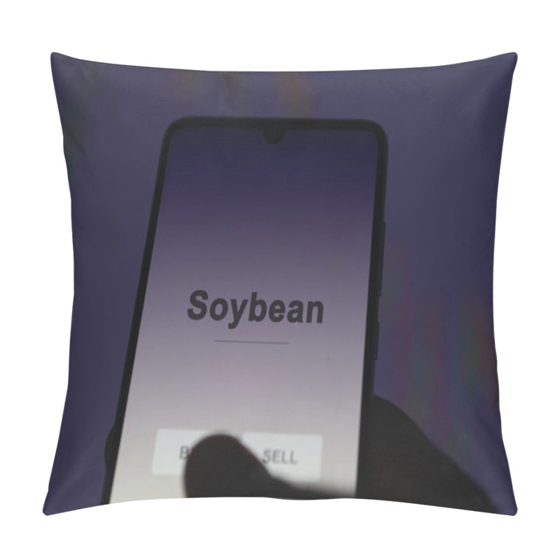 Personality  An Investor Analyzing The Soybean Etf Fund On A Screen. A Phone Shows The Prices Of Soybean Pillow Covers