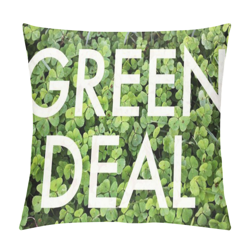 Personality  Text Green Deal In A Nature Background. Pillow Covers